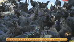 ���¸�����������������Ǭ���ڼ�׬������Ǯ