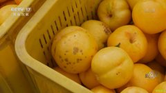 �¸�����ɽ��ʡ�����￡��ʯͷɽ���ֳ���