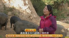 �¸����������彧�ذ�ϼϼ������ �������ⶼ׬Ǯ