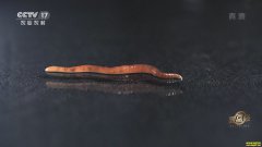 �¸���������������˶�����һĶ��׬5��Ԫ