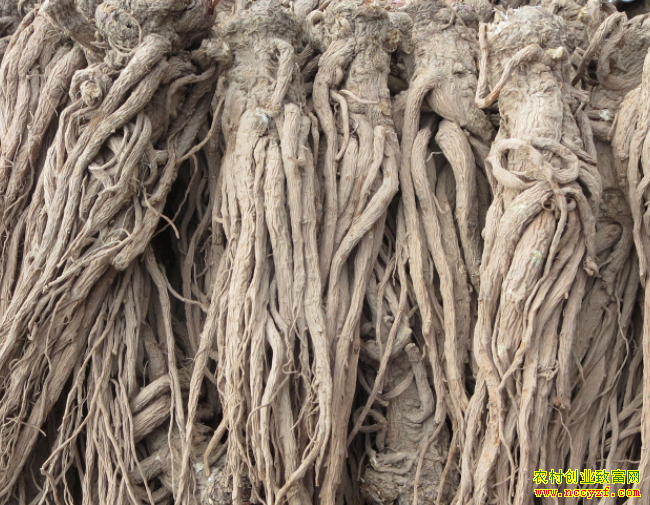 �������ҩ���г�����۸�����