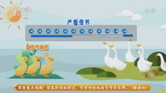 [�¸���]���ճ��ݳ�Ч��������ֳ���ݶ�Ӯ�����Ƹ�