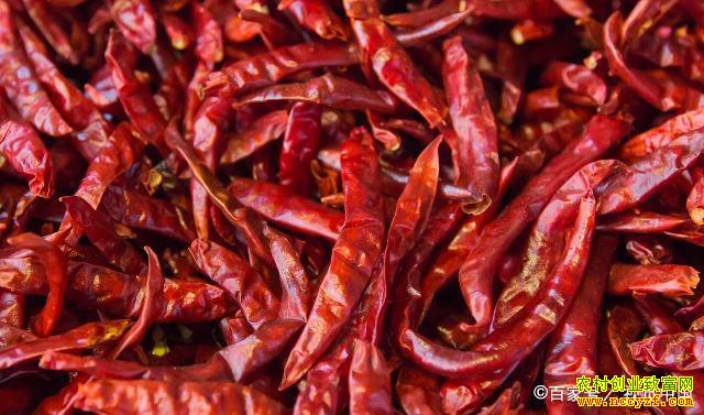 �����������۸�����