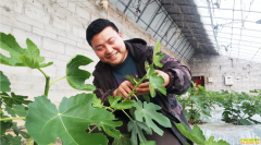 90��ũ�崴ҵ��ʲô�ã�����ũ�ˡ���������ɫ���ߺ��¸�