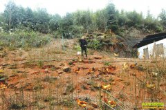 �Ĵ�����С������ĺ����������ɾͲƸ�����