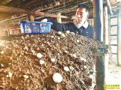 �Ĵ�����90��С����ǿ��ֲ˫�߹��������¸�