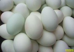 2022��3��13��Ѽ���۸��ǵ���