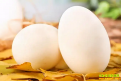 2022��5��4�ն�ҵ��Ѷ���¶쵰���ֵ����۸�