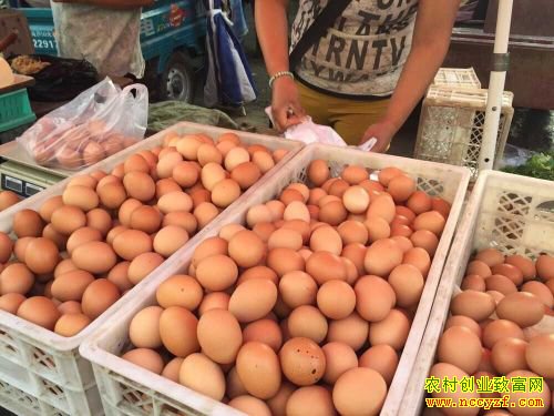 �������������۸�