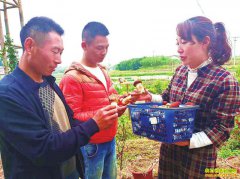 ¶�����༧����Ч����Σ�ʯ˳��ҵ������ֲ������Ķ��2��Ԫ