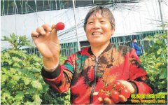 ũ����ɶ��׬Ǯ������ݮ��������һ����10Ԫ������Ӧ��