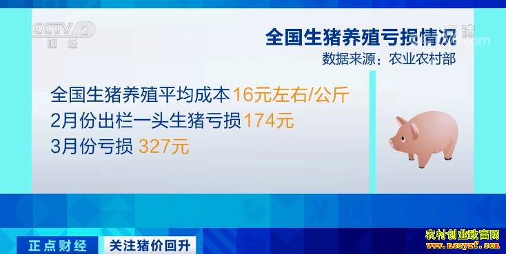 �����۸�����