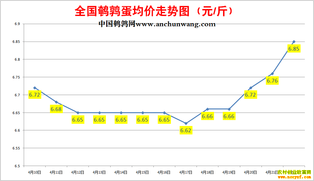 ���ȵ��۸񱨼۱�