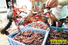 ˮ���г�С��Ϻ����һ�2022��4��22��С��Ϻ�г��۸�