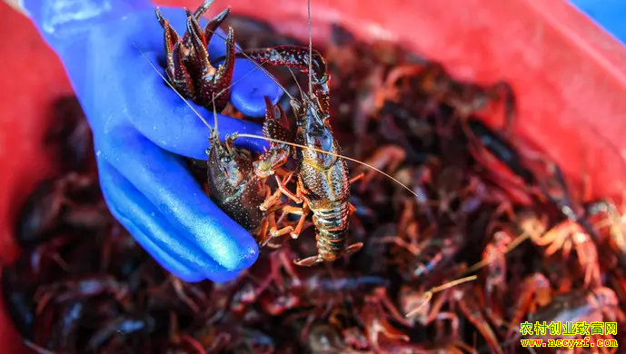 С��Ϻ�չ��۸��