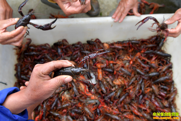 С��Ϻ�չ��۸��