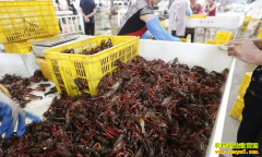 С��Ϻ�۸�����2022��4��23�պ���ǱϺ����С��Ϻ�չ��۸�