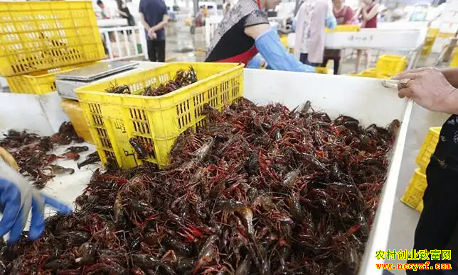 С��Ϻ�չ��۸��