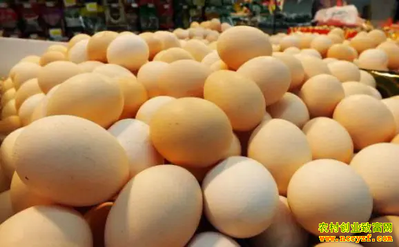 2022��4��30�ź�������г����������۸�