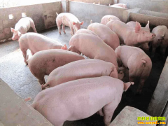 �������ۣ�2022.5.1ȫ��ë���۸����а�