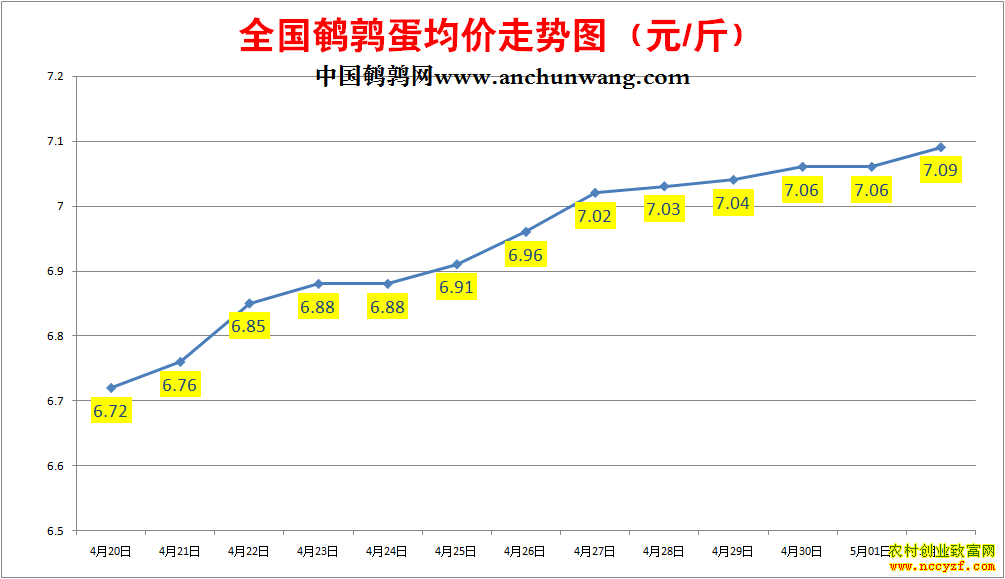 ���ȵ��۸񱨼۱�