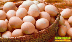 2022��5��13�պ��ϼ����۸�