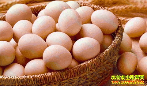 ���ϼ����۸�