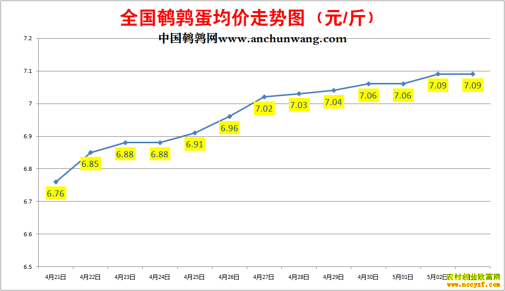 ���ȵ��۸񱨼۱�