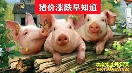 ���������۸���£�ȫ�������۸���籨