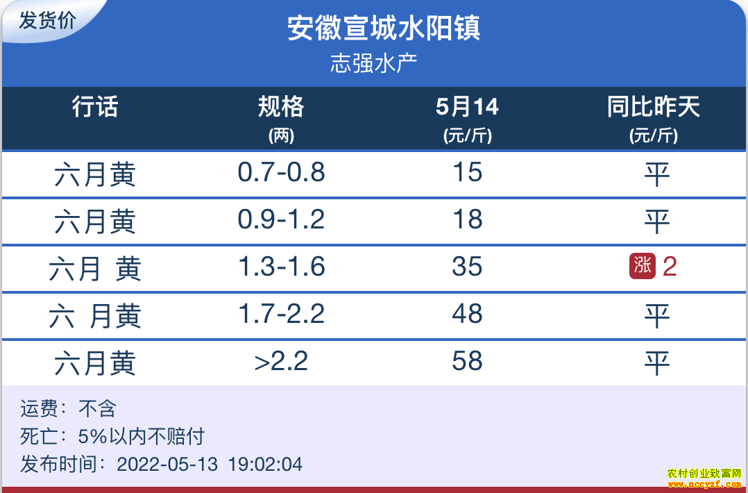 ���������з�۸�