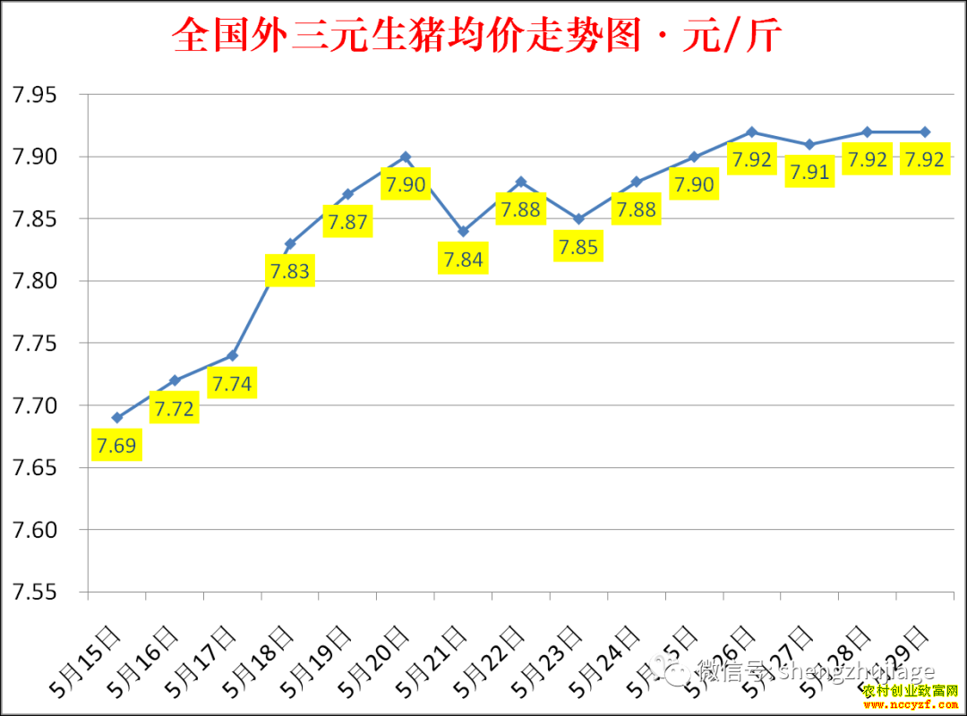 2022��ȫ�������۸��ǵ���