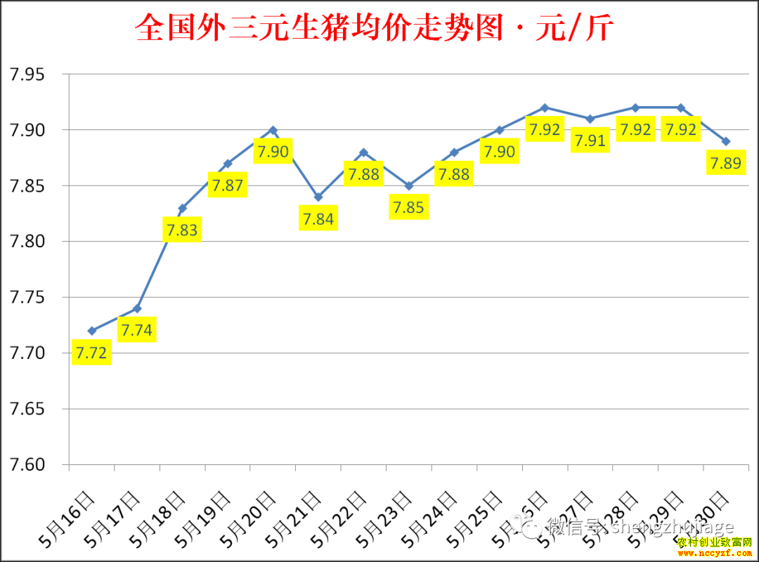 2022��ȫ�������۸��ǵ���