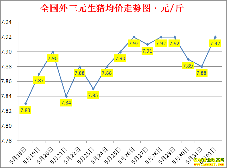 2022��ȫ�������۸��ǵ���