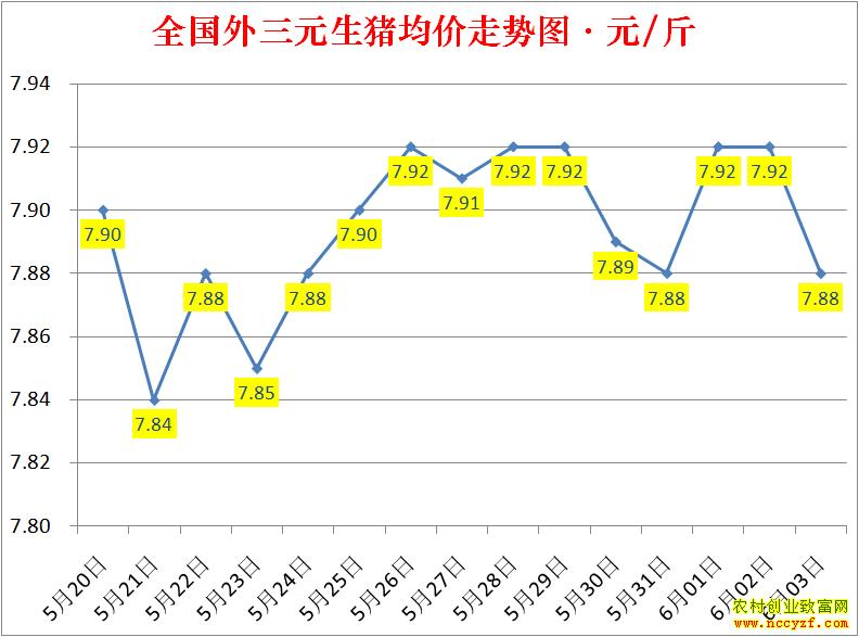 2022��ȫ�������۸��ǵ���