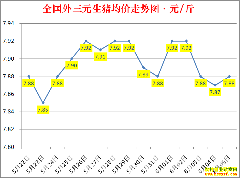 2022��ȫ�������۸��ǵ���