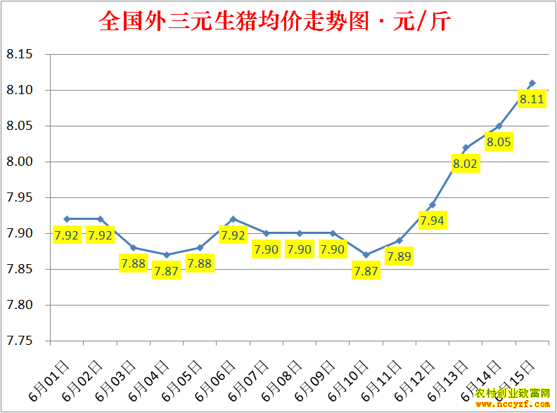2022��ȫ�������۸��ǵ���