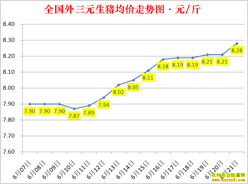 2022��ȫ�������۸��ǵ���