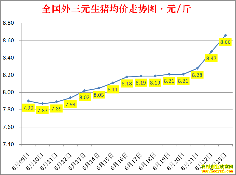 2022��ȫ�������۸��ǵ���