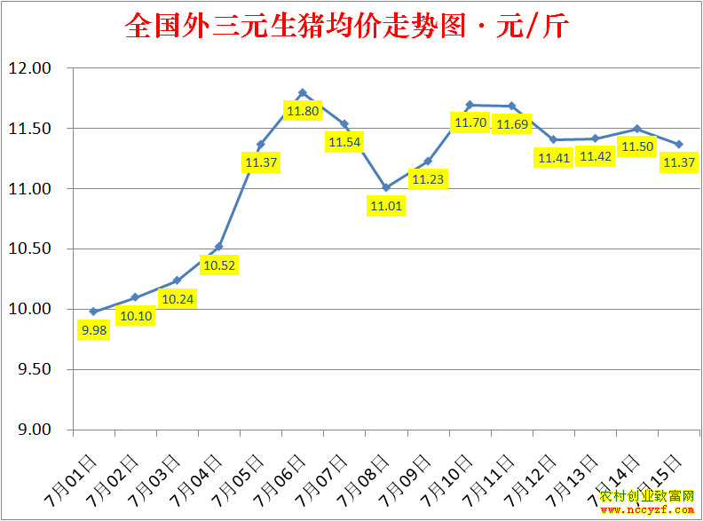 2022��ȫ�������۸��ǵ���