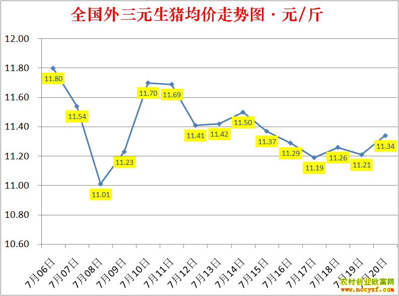 2022��ȫ�������۸��ǵ���