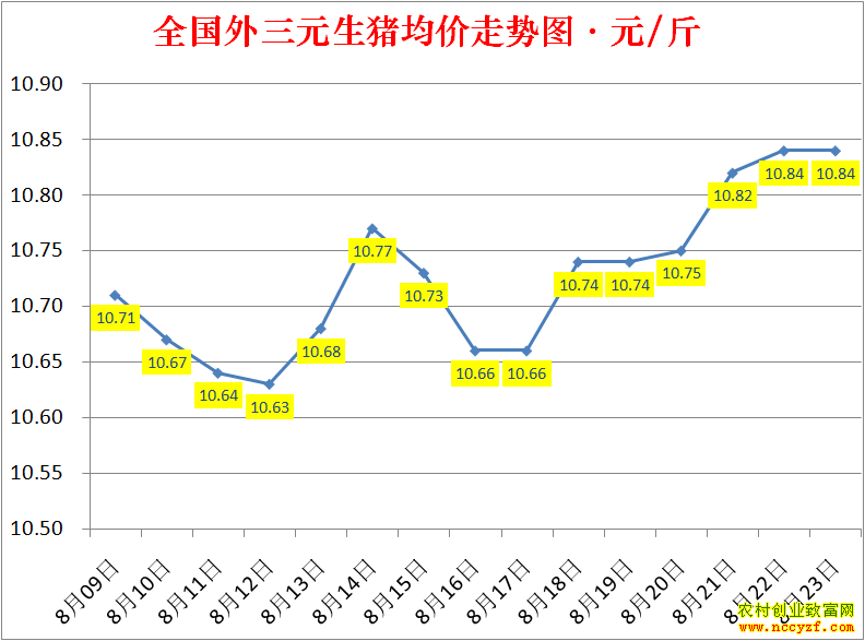 2022��ȫ�������۸��ǵ���