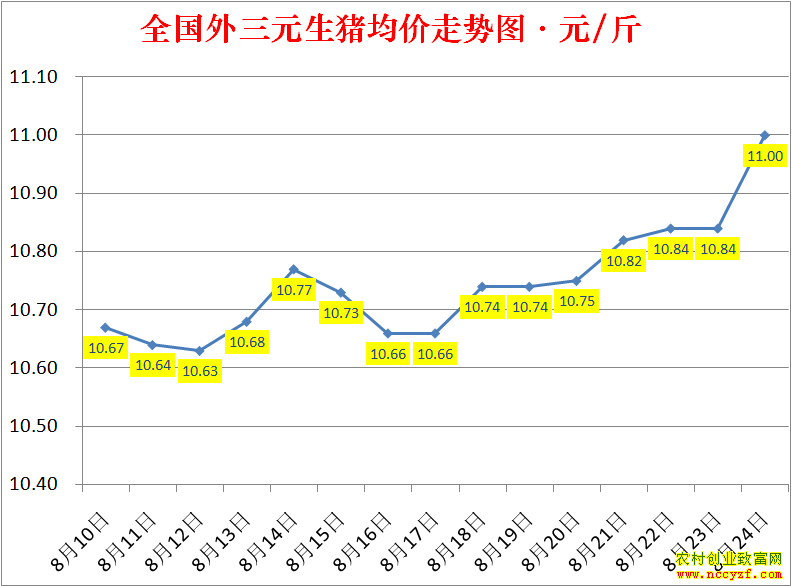 2022��ȫ�������۸��ǵ���