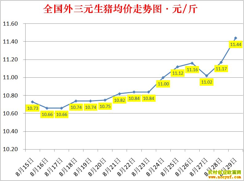 2022��ȫ�������۸��ǵ���