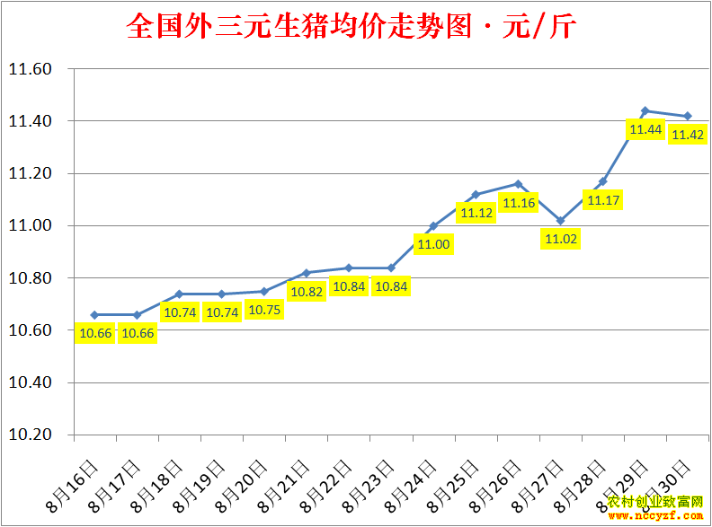 2022��ȫ�������۸��ǵ���