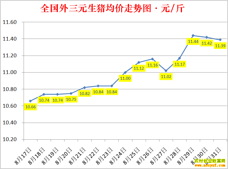 2022��ȫ�������۸��ǵ���