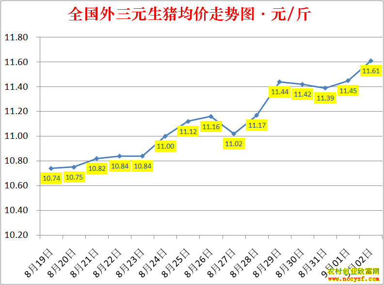 2022��ȫ�������۸��ǵ���