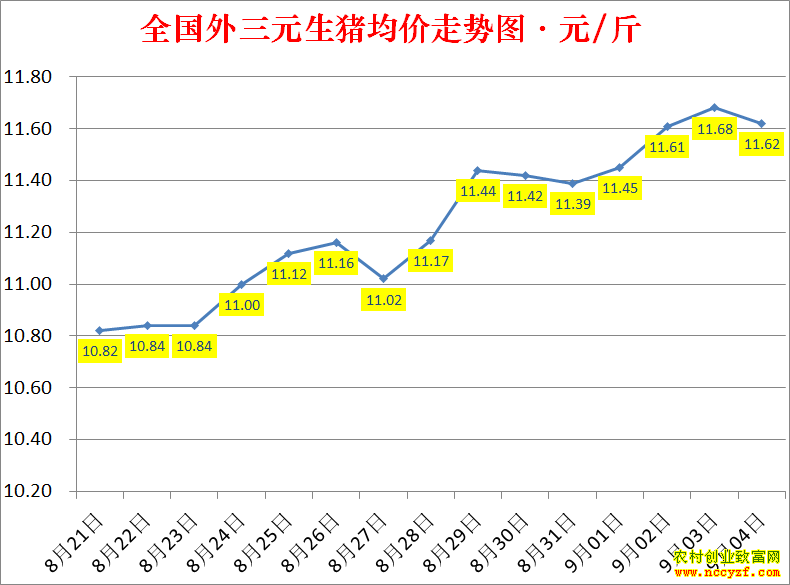 2022��ȫ�������۸��ǵ���