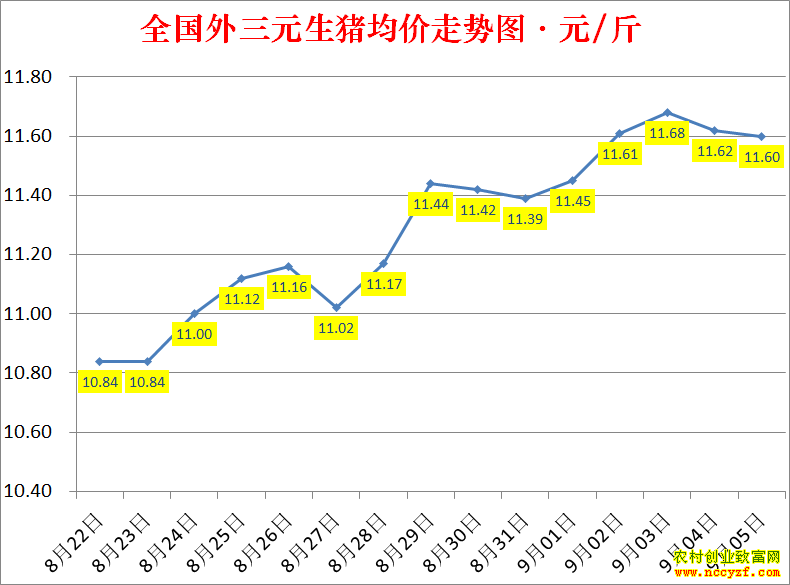 2022��ȫ�������۸��ǵ���