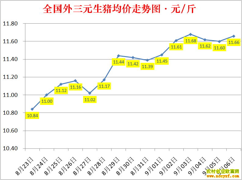 2022��ȫ�������۸��ǵ���