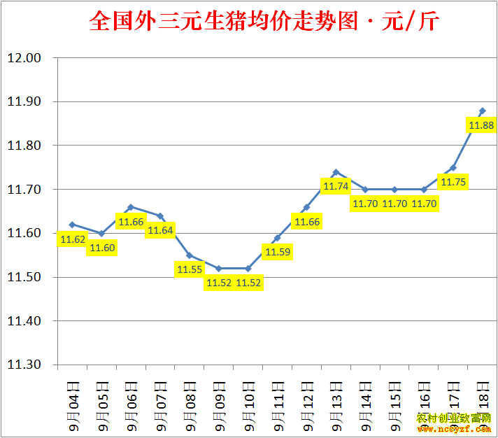 2022��ȫ�������۸��ǵ���